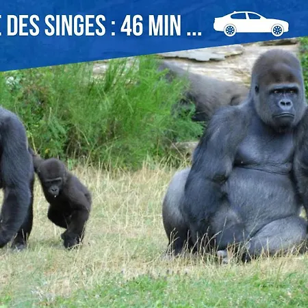 Apartment Maison Et D'anatole France Proche Centre-ville, Universite - Chu, Patinoire Et Futuroscope