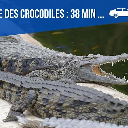 Maison Et D'anatole France Proche Centre-ville, Universite - Chu, Patinoire Et Futuroscope