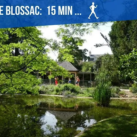 Maison Et D'anatole France Proche Centre-ville, Universite - Chu, Patinoire Et Futuroscope * Poitiers