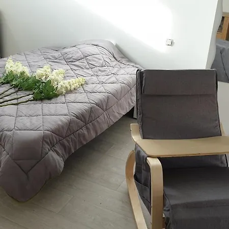 Maison Et D'anatole France Proche Centre-ville, Universite - Chu, Patinoire Et Futuroscope