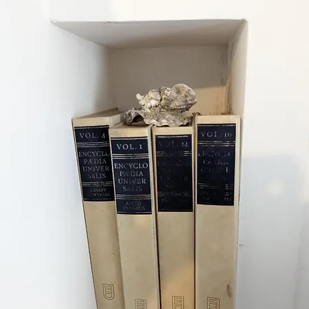 Apartment Maison Et D'anatole France Proche Centre-ville, Universite - Chu, Patinoire Et Futuroscope Poitiers