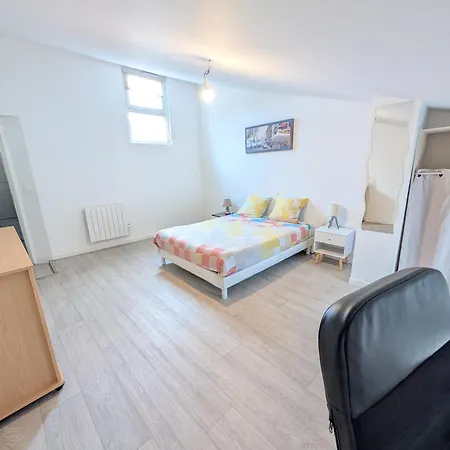 Maison Et D'anatole France Proche Centre-ville, Universite - Chu, Patinoire Et Futuroscope Apartment Poitiers